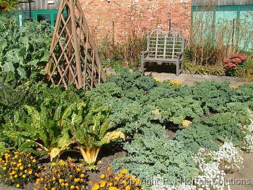 Vegetable Inspirations